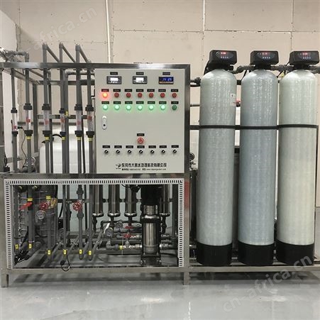 无尘车间用水超纯水处理系统 EDI去离子净化 RO级超纯水设备