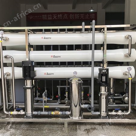 5T/H RO+EDI超纯水设备 超纯水过滤水净化处理设备 大鹏水处理