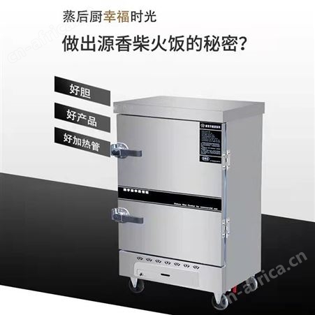 蒸饭车蒸饭机全自动小型燃气电蒸箱蒸包子机商用蒸饭柜