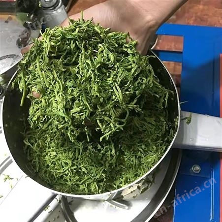 全自动茶叶揉捻机家用小型揉茶机不锈钢电动炒茶机红茶绿茶揉茶机