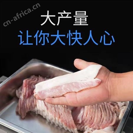 溢盈机械 切肉片机 商用多功能切肉机 切片机 电动切肉机