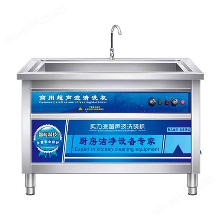 商用洗碗机 多功能洗碗机器 厨房洗菜洗碟机 双槽刷碗机 巧夺