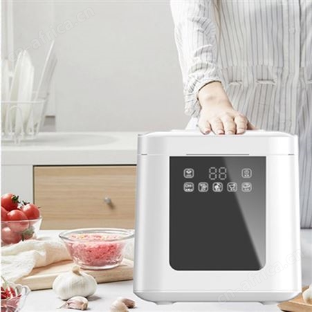 果蔬消毒机 食材净化器 活氧消毒机 多功能果蔬消毒机 巧夺
