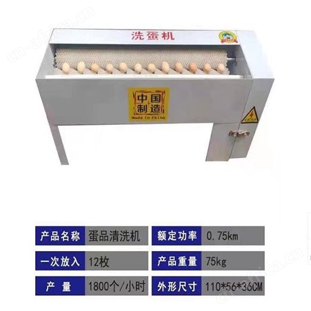 巧夺 洗蛋机 全自动蛋类清洗机器 尼龙刷辊清洗机 鸡蛋鸭蛋清洗机