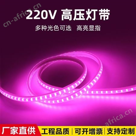 220V高亮灯带室内装修户外防雨包胶灯带可弯曲造型led柔性灯条
