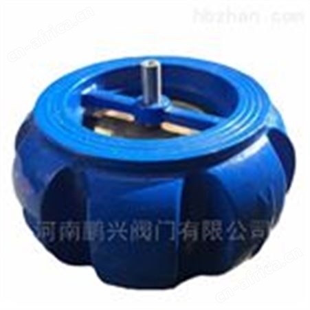 南瓜型对夹式消声止回阀
