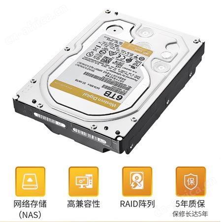 西数WD WD6003VRYZ 6T 金盘企业级机械硬盘NAS网络存储SATA7200转