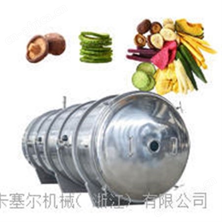 桑葚冻干机设备