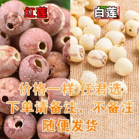 无芯通心磨皮空心去芯白莲子大颗干货500g湘莲子蝴南湘潭特产批发
