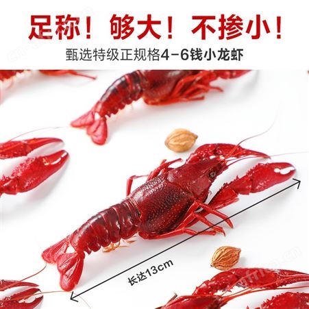 正大活力虾650g/盒麻辣口味小龙虾加热可食用半成品冷冻批发