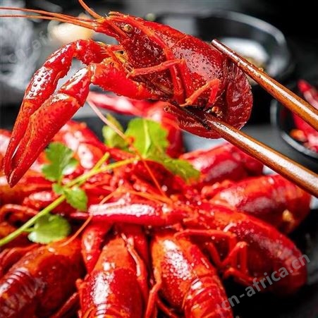 麻辣龙虾小龙虾熟食小海鲜鲜活烧制即食小龙虾真空包装大号香辣味