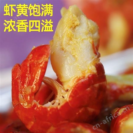 龙虾尾冷冻生鲜特大号鲜活小龙虾尾无冰衣小龙虾整箱10斤虾球商用