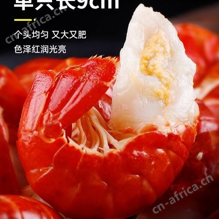 龙虾尾冷冻生鲜特大号鲜活小龙虾尾无冰衣小龙虾整箱10斤虾球商用