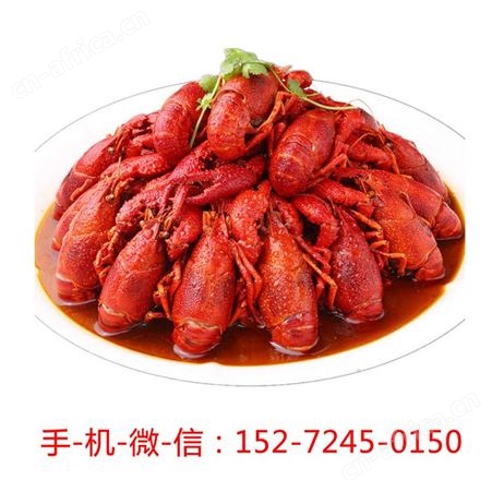 云南普洱德炎麻辣小龙虾尾1.5kg300g*5盒净虾750g