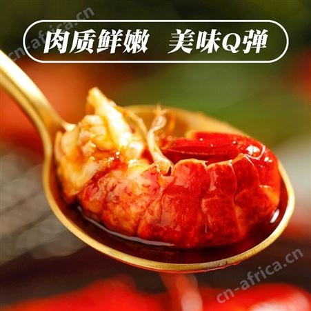 湖乡草地小龙虾650g大号即食速冻调味麻辣蒜香半成品夜宵外卖