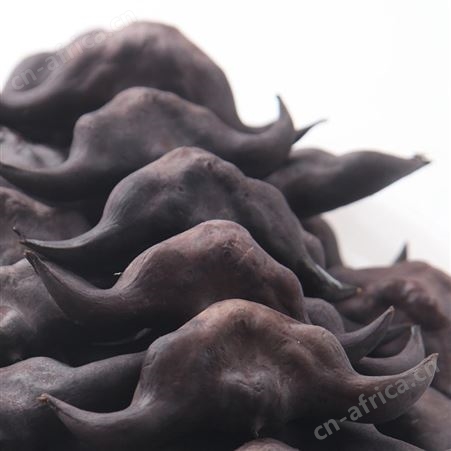 洪湖菱角新鲜老菱角粉糯莲角黑棱角农家特产凌角蔬菜5斤包邮