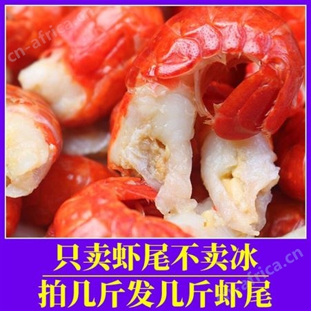 胖舅舅小龙虾尾冷冻无冰衣生鲜非即食麻辣特大号虾类虾球500g