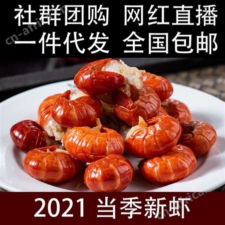 龙虾尾鲜活虾尾工厂直供冷冻无冰衣捞汁海鲜麻辣小龙虾