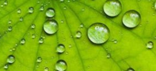 低场核磁表征材料表面能与亲水疏水关系