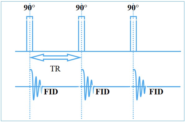 饱和脉冲磁共振