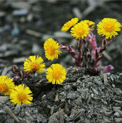 188c5b9551884371a0c3ef1b478a2d5a